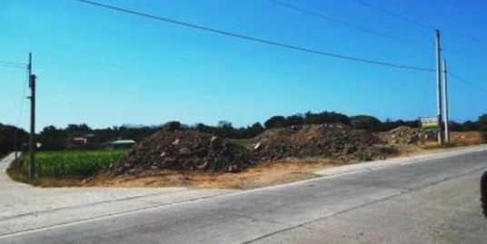 300 Sqm Lot For Sale San Juan, La Union, Philippines (SOLD)