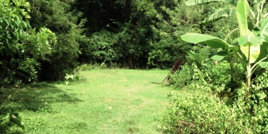 7,000 Sqm Farm Lot For Sale in San Fernando La Union, Ilocos