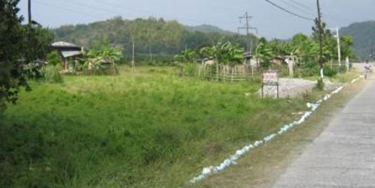 1,151sq.m. Lot For Sale in Biday, San Fernando, La Union