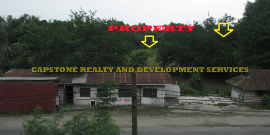 2 Hec PRIME Lot For Sale in Sto. Tomas La Union, Ilocos