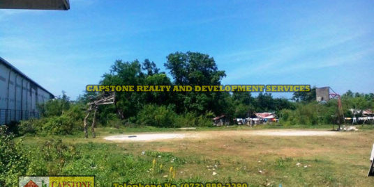 2,060 Sqm Lot For Sale in San Fernando La Union, Ilocos