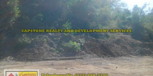 5.1 Hec. Commercial lot for sale in Agoo La Union, Ilocos