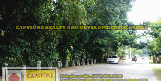 Titled Lot For Sale in Nagsaraboan Bacnotan La Union 43m Frontage 2833 sqm