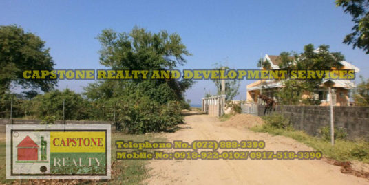 500 sqm Titled lot for sale in Baroro, Bacnotan La Union, Ilocos