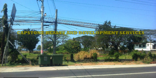 1 Hec Beach lot property for sale in Paringao Bauang La Union, Ilocos