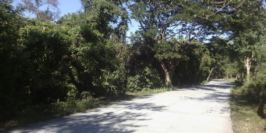 9.7 Hec Farm lot for sale in Al-alinao Naguilian La Union