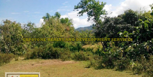 For Sale Acreage Farm Lot Bacnotan, La union, Ilocos