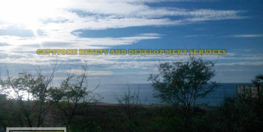 2,267 Sqm San Juan Beach lot For Sale