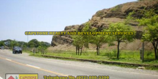 1.6 Hectares Lot in San Juan, La Union, Ilocos