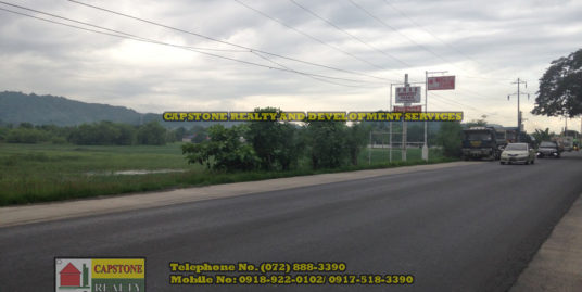 3.7 Hectares Titled lot for Sale, Bauang, La Union, Ilocos