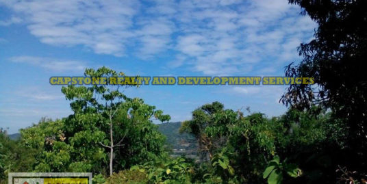 1.9 Hec Farm Lot For Sale, Bacnotan La Union, Ilocos