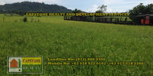 4,313 Sqm Lot for Sale, Bauang, La Union, Ilocos