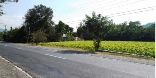 Rush Sale 5,656 Sqm Balaoan, La Union, Ilocos Farm Lot