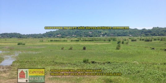 1.3 Hec lot For Sale, Biday, San Fernando City, La Union, Ilocos