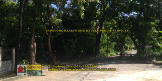 Residential Lot For Sale, San Fernando City, La Union, Ilocos