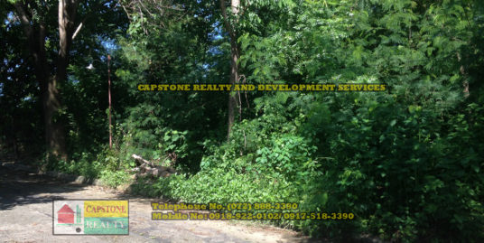 Titled Residential Lot For Sale, San Fernando City, La Union, Ilocos