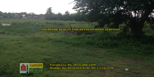 Residential Lot For Sale in San Fernando City, La Union, Ilocos