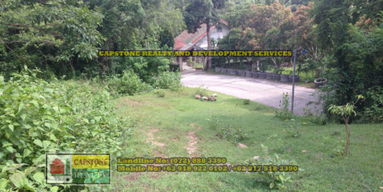 Elevated Property lot along the road, San Fernando City, La Union, Ilocos