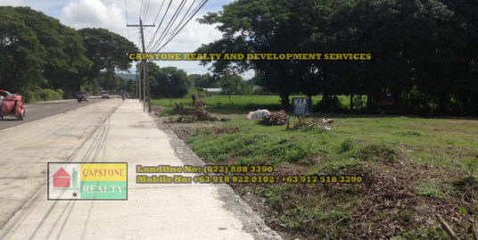 Commercial / Residential Lot for sale, Bacnotan, La Union, Ilocos