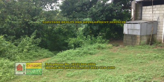 Lot For Sale, San Fernando City, La Union, Ilocos