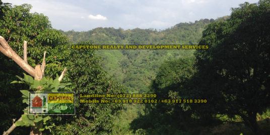 7.3 Hectares Forestland for sale, San Fernando City, La Union, Ilocos