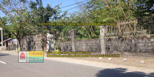 Titled Commercial / Residential lot for sale, Bacnotan, La Union, Ilocos