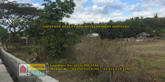 8,940 Sqm Lot for Sale, Bacnotan, La Union, Ilocos