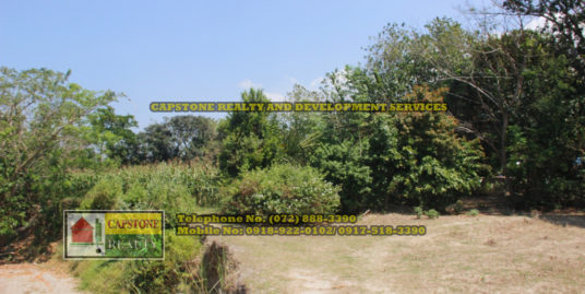 1,445 Sqm. Titled Lot for sale, Bacnotan, La Union, Ilocos