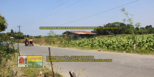 1,224 Sqm. Farm Lot for Sale, Balaoan, La Union, Ilocos