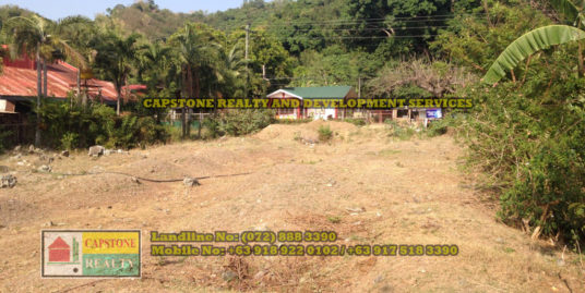 Titled Commercial / Residential Lot for sale Caba, La Union, Ilocos