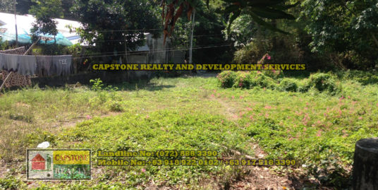 853 Sqm Titled Residential Lot for sale, Bacnotan, La Union, Ilocos