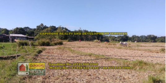 Farm Lot for Sale, Bacnotan, La Union, Ilocos