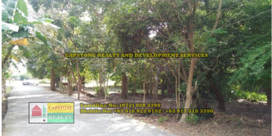 Titled Lot for Sale, Bacnotan, La Union, Ilocos