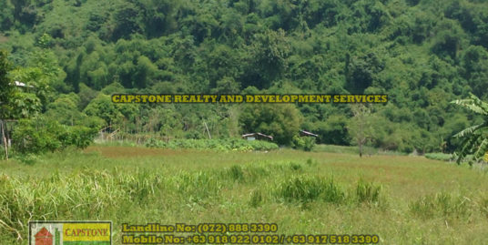 Farm Lot for sale, Naguilian, La Union, Philippines