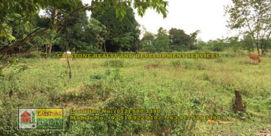 5,748 Sqm Lot for Sale in ABRA, Ilocos