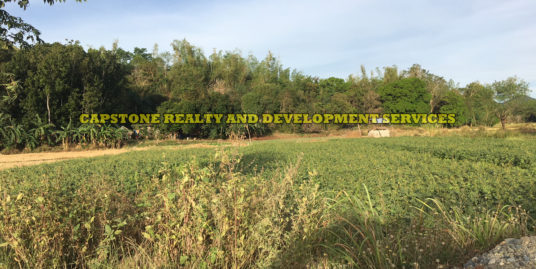 Titled Agricultural lot for sale in Ilocos Norte