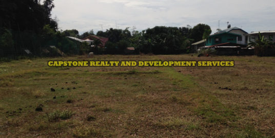 5,925 Sqm Lot For Sale, Bauang, La Union, Ilocos