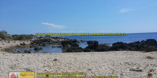 1000 sqm  Beach Front Property in Bacnotan, La Union