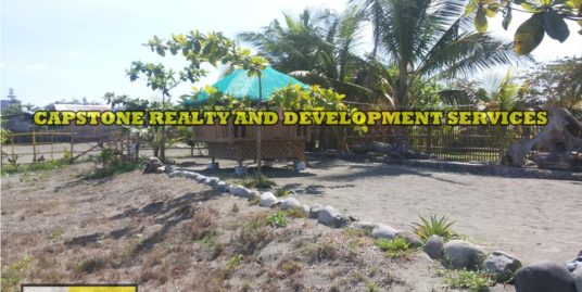 Serene Private Beach Front Resort in Bauang, La Union