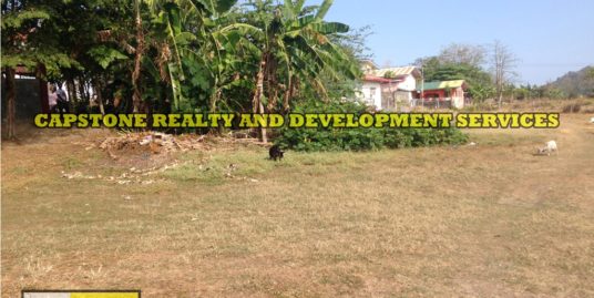 800 sqm Property in near Malls in San Fernando, La Union