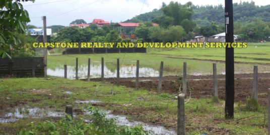 1196 sqm Residential Property Titled Property in Bacnotan, La Union