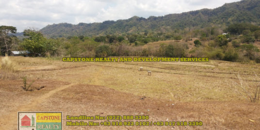 1.5 hec Titled Agricultural Lot in Santo Tomas, La Union