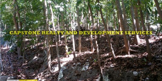 3.2 HEC LIVESTOCK FARM WITH TREES IN BACNOTAN, LA UNION