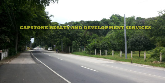 Commercial Lot for sale, San Juan, La Union