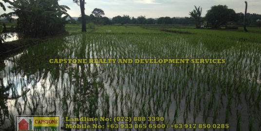 Titled Agricultural Lot for Sale, Rosario, La Union