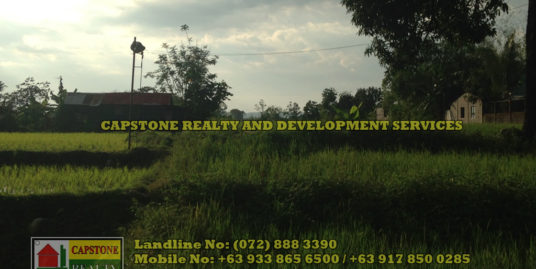 2,025 Sqm Agricultural lot for sale, Rosario, La Union