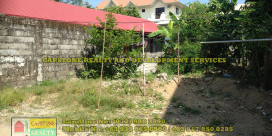 134 Sqm Titled Residential lot for Sale, San Fernando City, La Union