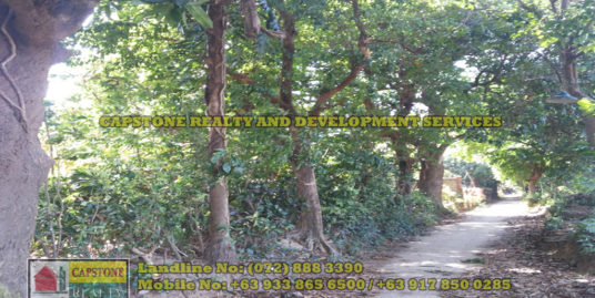 3,113 Sqm Agricultural lot for sale, Caba, La Union