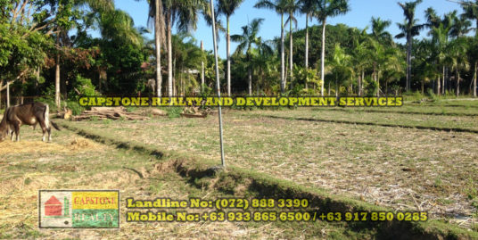 Titled Farm / Agricultural lot for sale, Bacnotan, La Union