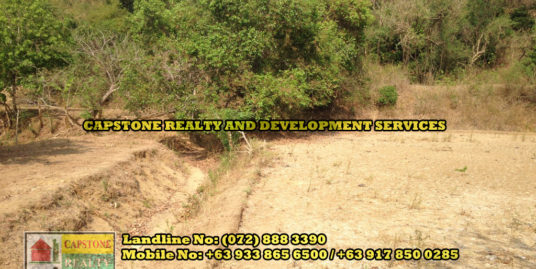 Agricultural Lot For Sale, Bauang, La Union